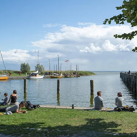 Schilfrohrsaenger 26 * Fuhlendorf (Mecklenburg-Vorpommern)