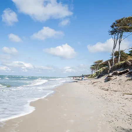 Schilfrohrsaenger 26 Prázdninový dům Fuhlendorf (Mecklenburg-Vorpommern)