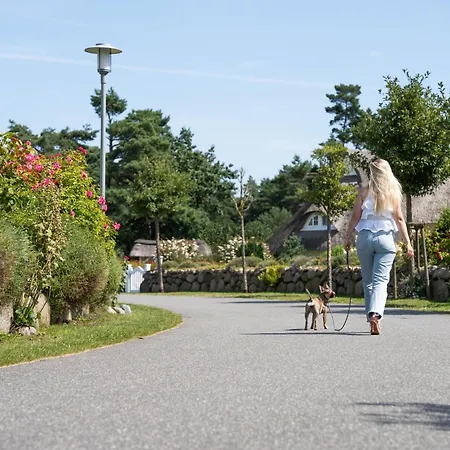 Schilfrohrsaenger 26 Prázdninový dům