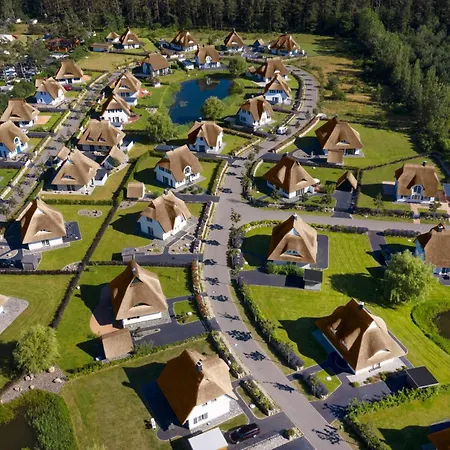 Schilfrohrsaenger 26 * Fuhlendorf (Mecklenburg-Vorpommern)