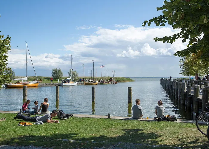Schilfrohrsaenger 26 * Fuhlendorf (Mecklenburg-Vorpommern)